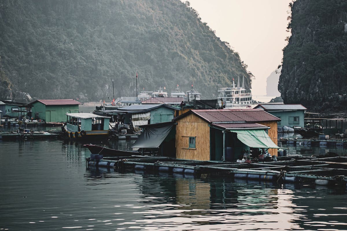 Làng chài nổi trên Vịnh Hạ Long
